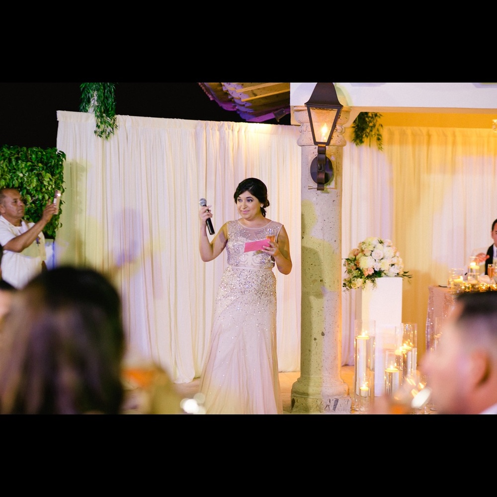 Adrianna Papell Dess